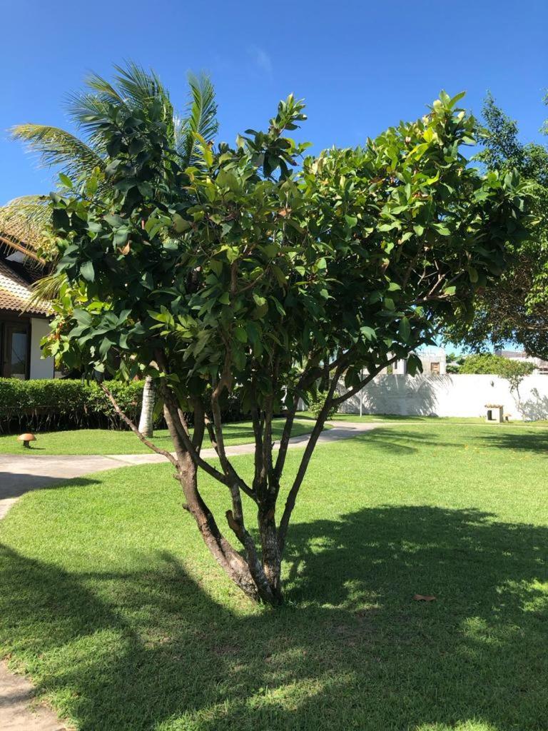 Ecco Village - Serrambi Porto de Galinhas